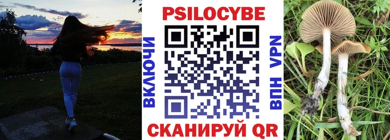 купить наркоту  Железногорск-Илимский  Галлюциногенные грибы мухоморы 